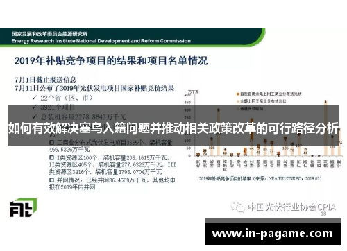 如何有效解决塞鸟入籍问题并推动相关政策改革的可行路径分析