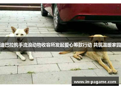 迪巴拉携手流浪动物收容所发起爱心筹款行动 共筑温暖家园