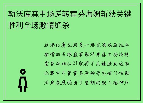勒沃库森主场逆转霍芬海姆斩获关键胜利全场激情绝杀