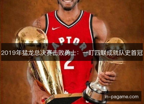 2019年猛龙总决赛击败勇士:一盯四联成就队史首冠 2019年猛龙总决赛击败勇士:一盯四联成就队史首冠