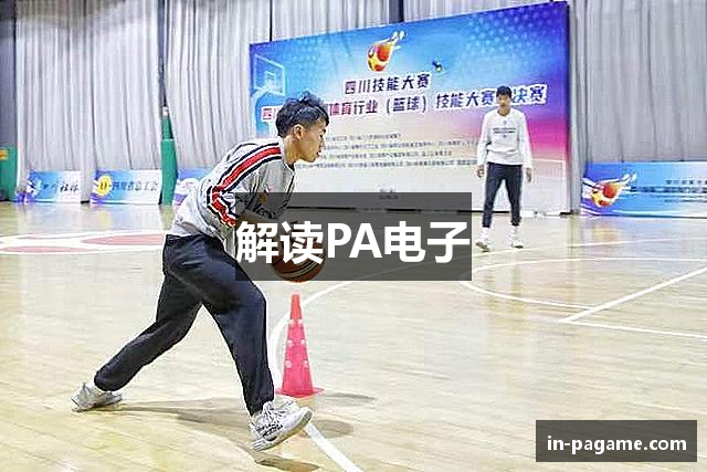解读PA电子